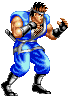 HANZO